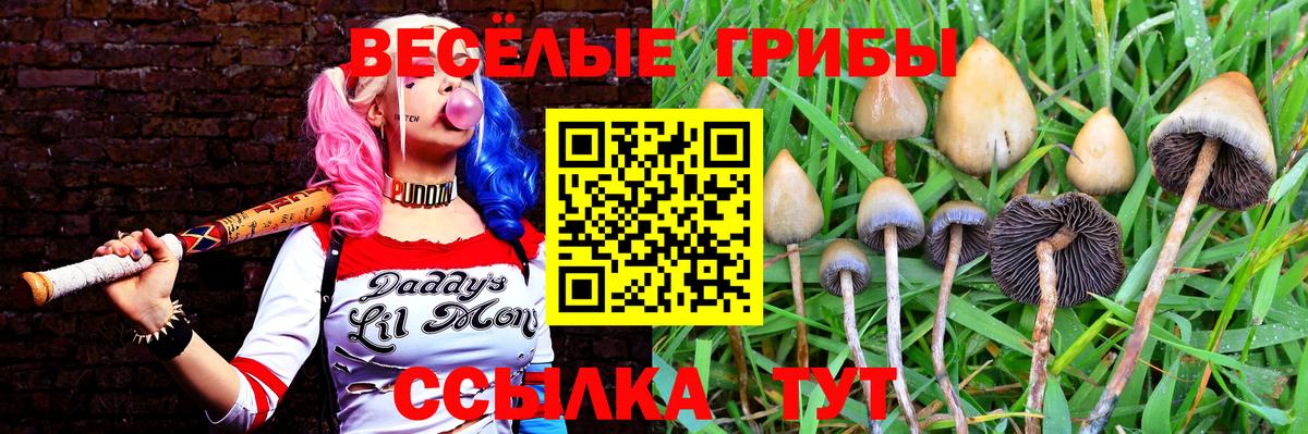 Псилоцибиновые грибы ЛСД Азнакаево