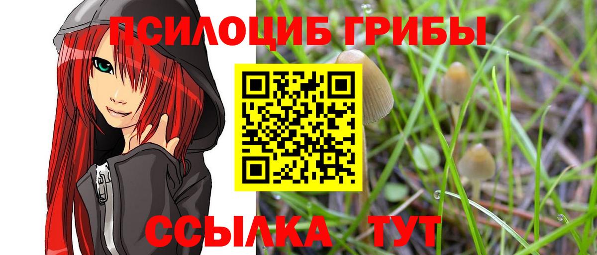 Азнакаево  Псилоцибиновые грибы мухоморы  Вход с VPN 